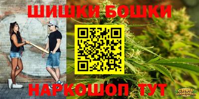 мдпв Пугачёв