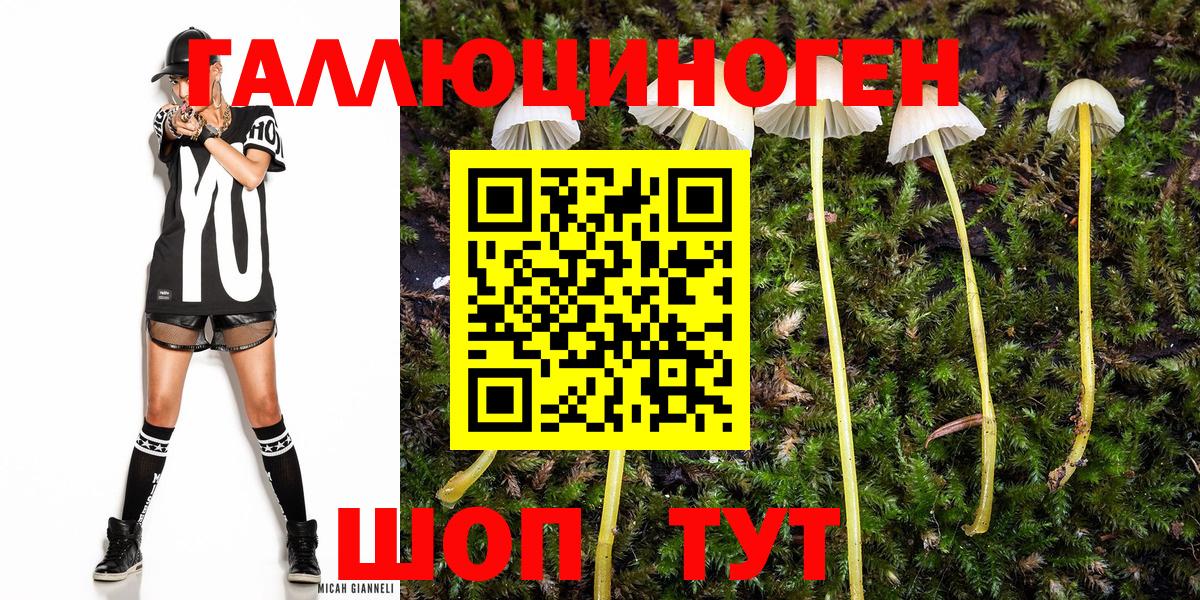 Галлюциногенные грибы Psilocybine cubensis Тара