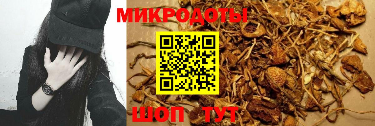 Псилоцибиновые грибы мицелий  Вход с VPN  Псилоцибиновые грибы Psilocybine cubensis  Тара 